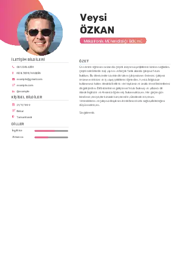 Mekatronik Mühendisliği Cv Örnekleri cv indir